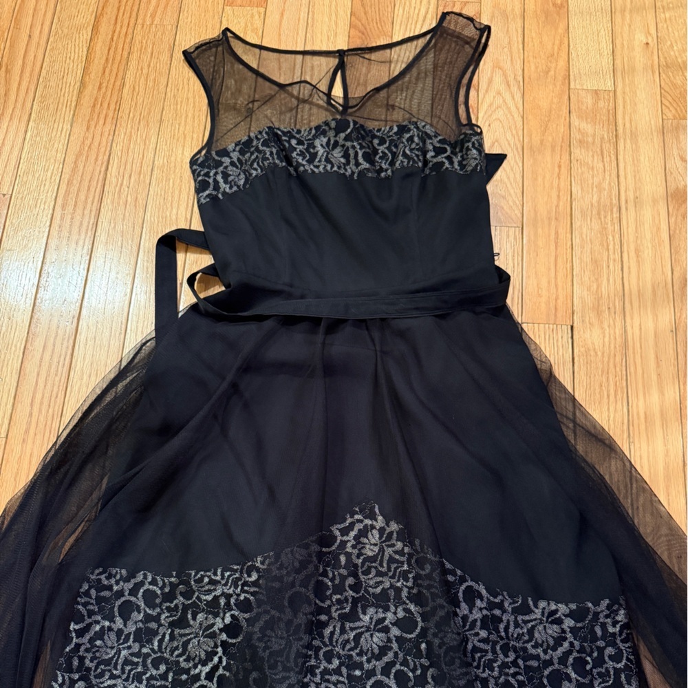 White House Black Sheer Overlay Metallic Market Black Dress Fairy Whimsigoth